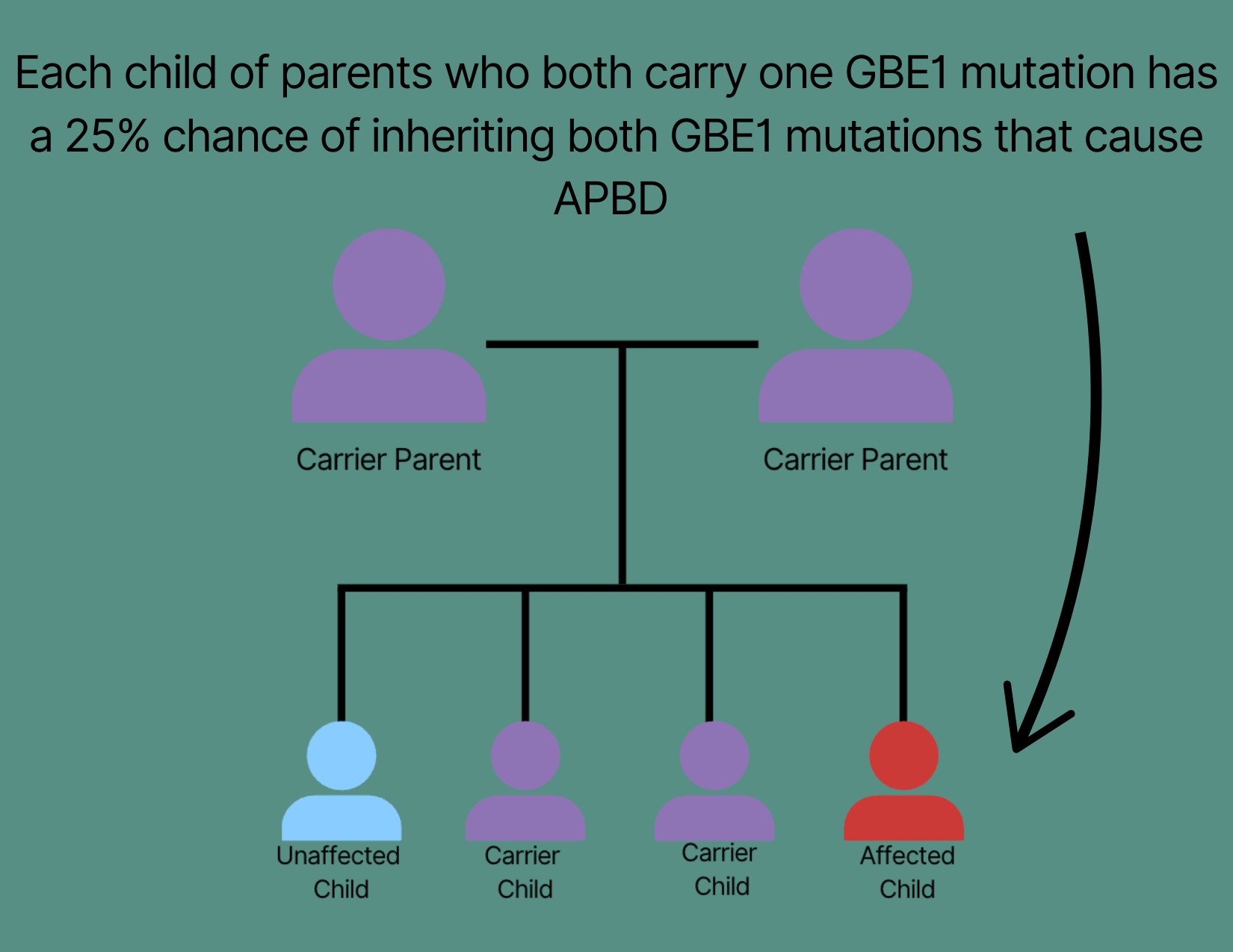 APBDRF-Carrier-Screening-Article-image-1